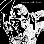 Schrei X cover