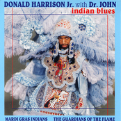 Donald Harrison: Indian Blues