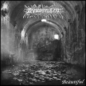 Beautiful / Faceless Burial