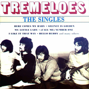 Say Ok by The Tremeloes