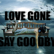 Love Gone,Say Goodbye