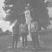 Under Your Spell (Place Your Hand in Mine)