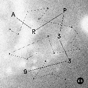 ARP 339