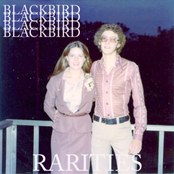 Twin Flames (feat. Rachel Levy) by Blackbird Blackbird