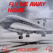Fly me away home