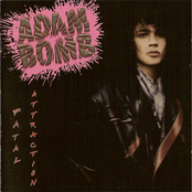 Adam Bomb: Fatal Attraction