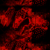Bionicmeltdown