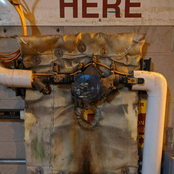 Get Me the Fuck Out of Here