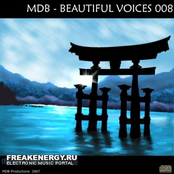 Beautiful Voices 008 (Ethnic-Lounge Mix)