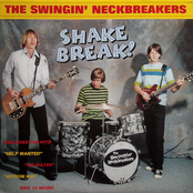 Shakedown by The Swingin' Neckbreakers