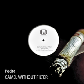 Camel Without Filter [12" single]