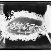 Ecstatic & Wingless: Bird-Imitation on Four Continents, ca. 1910-44