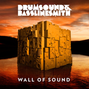 Solitude by Drumsound & Bassline Smith