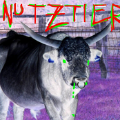 nutztier