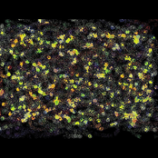 Orchestral Accolades