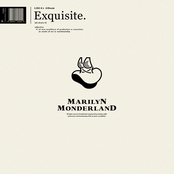 Exquisite