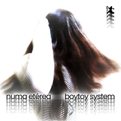 Boytoy System
