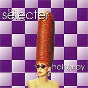 My Perfect World by The Selecter