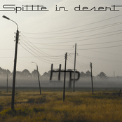 Spittle in desert