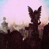 if dead dreams could talk