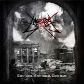 Their Blood, Their Sweat, Their Tears