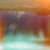 Asleep in the Driveway