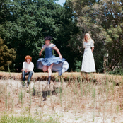 Folk Bitch Trio: Analogue/I Heard