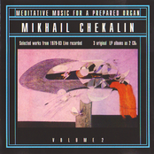 Meditative Music For Prepared Organ, Vol.2