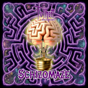 Schizomaze
