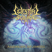 Assembling Deformities - Single