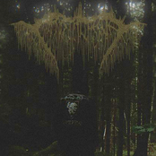 Irradiant Temporality