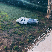 Like Frightened Optimists