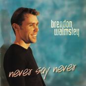 Never Never by Brendon Walmsley