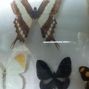 kreative perspektiven