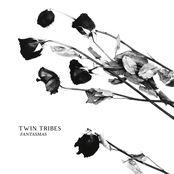 Twin Tribes: Fantasmas