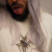 you should see me in a crown