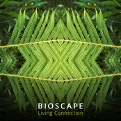 Creation Dub by Bioscape