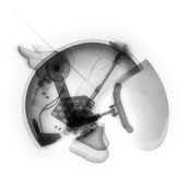 Lick The Lens – Pt.1