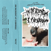 An Incident at Cobargo