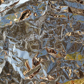 Remnants of a Winter Sun