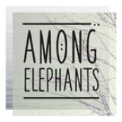 among elephants