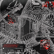 YOUR LIGHT FADES AWAY