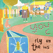 fly on the bus