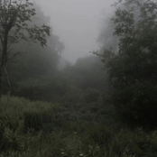 have you been wondering if your mental health is possibly getting worse