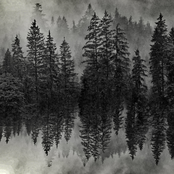 Background Deception