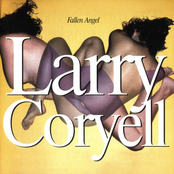 Stardust by Larry Coryell