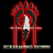 Screaming Down (single)
