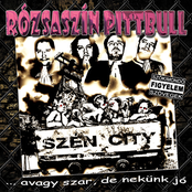 Szén City by Rózsaszín Pitbull