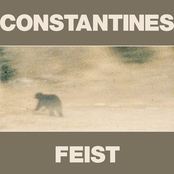 constantines and feist