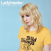 Ladyhawke